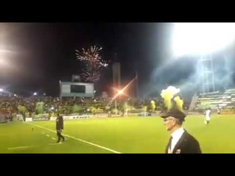 "Gran recibimiento de aldosivi vs quilmes" Barra: La Pesada del Puerto • Club: Aldosivi