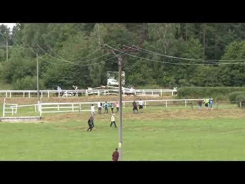 SH, 13. 7. 2019, 3. dostih - Cena Agrotechnic Moravia a.s. a OPaLL-AGRI, s.r.o.