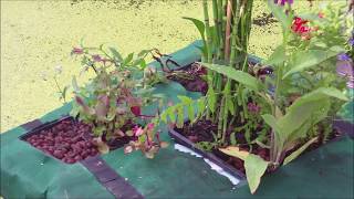 schwimmende Pflanzinsel für den Gartenteich selber bauen