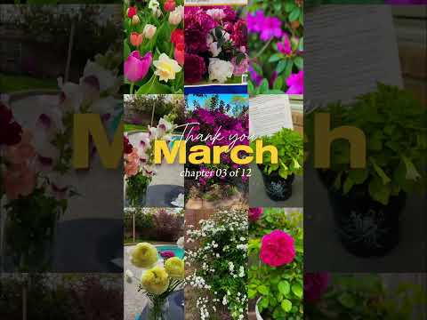 ¡Gracias Marzo! El mes que da comienzo a la Primavera 💐😍🌸