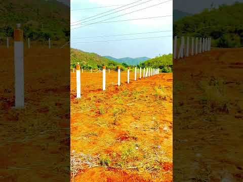 Alkesh 7698219324🫶❤️