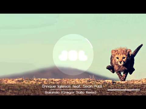 Enrique Iglesias feat Sean Paul - Bailando ( Gregor Salto Remix )