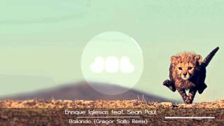 Enrique Iglesias feat Sean Paul - Bailando ( Gregor Salto Remix )