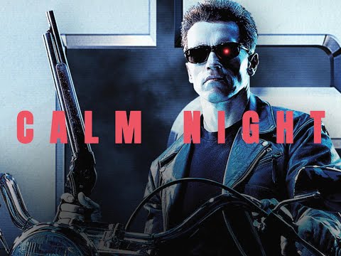 Narvent, Luneex - Calm Night // (Terminator) // (REMIX) // (Requested/Remake)