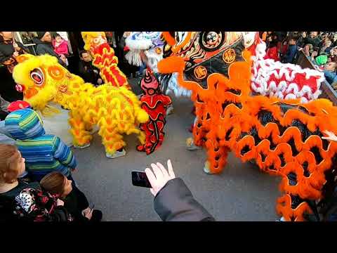🎎🐖Nouvel an Chinois 2019 ( L année du Cochon ) 🐖🎎 HD.mp4