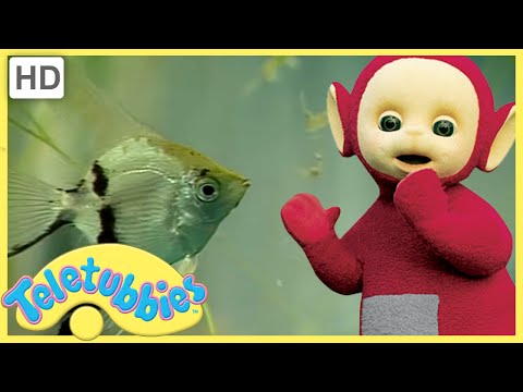 ★Teletubbies English Episodes★ Tropical Fish ★ Full Episode - HD (S08E203)