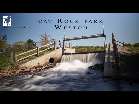 Cat Rock Park, Weston, Ma