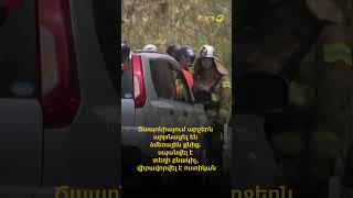 Ճապոնիայում արջերն արթնացել են ձմեռային քնից. սպանվել է տեղի բնակիչ, վիրավորվել է ոստիկան