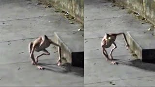 ISSO NÃO SE PARECE COM NADA CONHECIDO VÍDEOS ASSUSTADORES