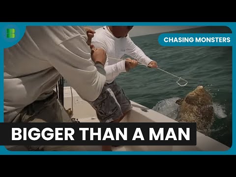 Battling Snakehead Fish - Chasing Monsters