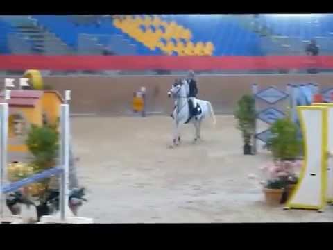 MARTA VIAGGI E GAME BOY - COPPA DEL PRESIDENTE A SQUADRE - MANERBIO 07\12\2014