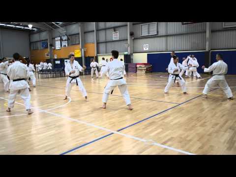 Don Sharp Shihan at Day 2, 2013 JKAA National Spring Seminar