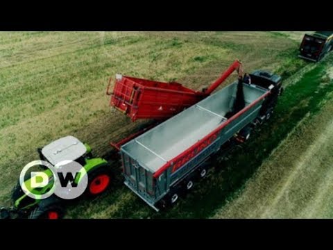 Agribusiness is gaining ground – literally | DW English