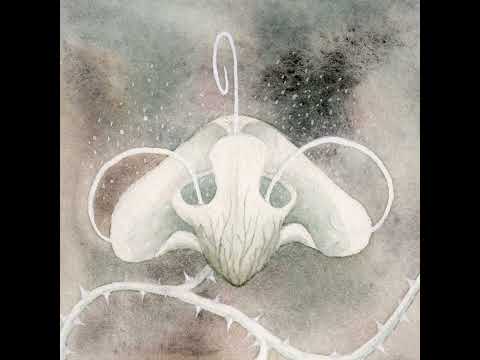 Whitearmor — tar feathers (Official Audio)