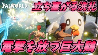 電撃を放つ巨大鶏に出くわしてしまった結果.... [パルワールド 実況]
