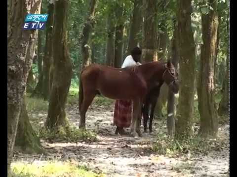 পর্যটকদের জন্য বিনোদনের ডালি সাজিয়েছে ভাওয়াল জাতীয় উদ্যান