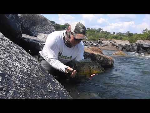 Río Roosenveld - Amazonas