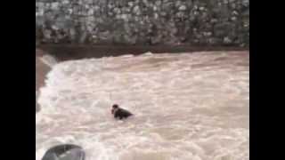 Rescue of two rafters after misfortunate accident on Miljacka river down town Sarajevo (Bosnia)