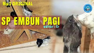 Download lagu suara walet mp3-II sudah terbukti berhasil Menginapkan walet-sedot anakan walet tetangga mp3