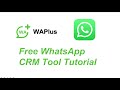 The Top 1 Free WhatsApp CRM Tool——WAPlus CRM