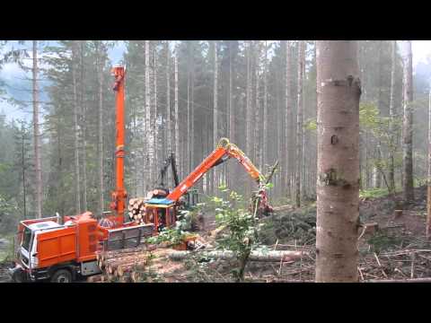 Syncrofalke MM, Holz Reiter Salzburg GmbH