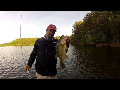 Basic Spinnerbait Bass Fishing