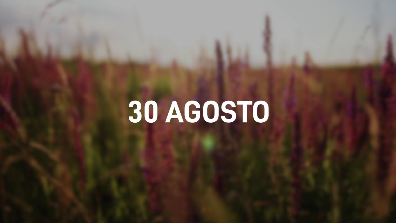 30 Agosto 2025 | Meditazione Parole di Vita