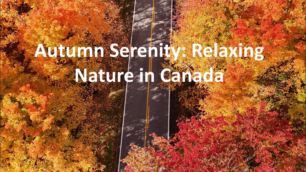 Breathtaking Autumn in Canada l 4K | Relaxing Nature Sounds for Stress Relief