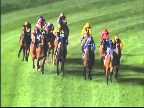 Buffering wins his 5th Group 1 and 3rd Moir Stakes.