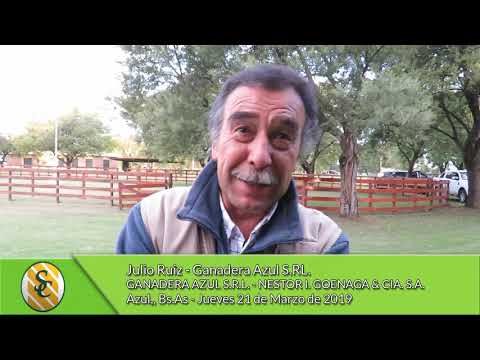 21-03-19 - Julio Ruiz - Ganadera Azul S.R.L. - Azul