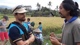preview picture of video 'Sema Bikul / cemetry of mouse in ricefield in Sibetan Village'