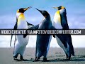 Taxi Check It Out Part 2