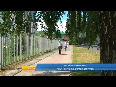 В центре Курска решили спилить &laquo;больные&raquo; деревья