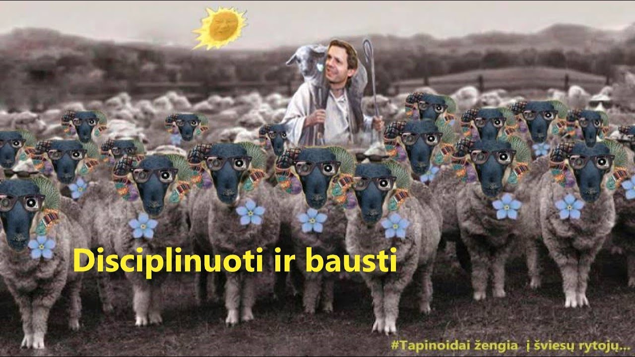 Disciplinuoti ir bausti (lojaliausius - apdovanoti)
