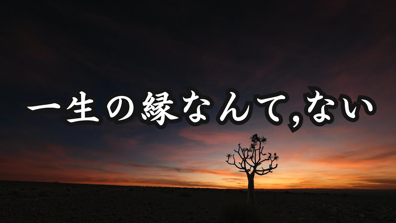 一生の縁なんて、ない。