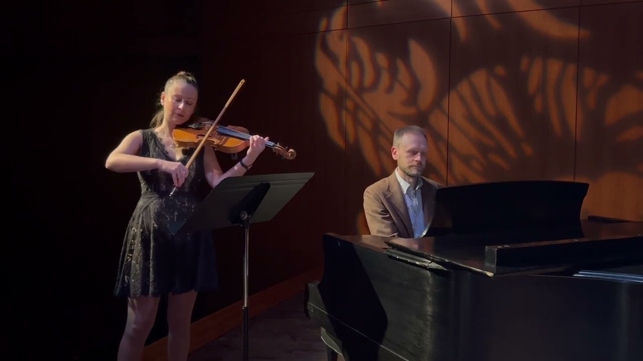 Promotional video thumbnail 2 for Florys Violin Art