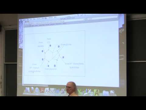 #36 Biochemistry Lecture (Nitrogen and Amino Acid Metabolism II) from Kevin Ahern's BB 350