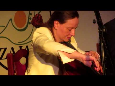 STANEK49 MUZYCZNE KORZENIE  ZAJAZD BESKIDY ŻYWIEC Cz.2