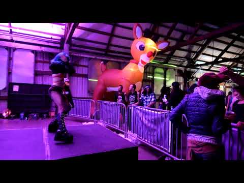 Rudolph the Rednose Raver 2 Official After Movie