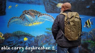 Oh Yeah It's Better: Able Carry Daybreaker 2