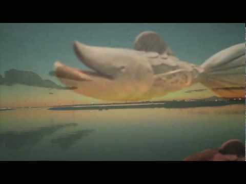 テシモタシー「ユニコーン&キャニオン」コメント—空泳ぐ魚
