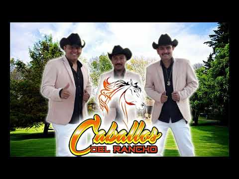 02 Todavia Es Tiempo - Caballos Del Rancho (En vivo)