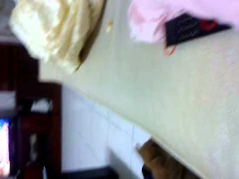 拼死我都要吃(原發表者:Xx959)(影片)