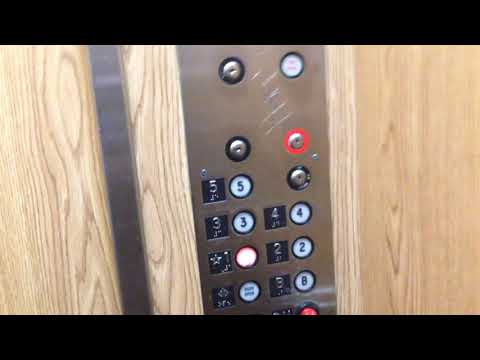 Generic Elevator with Adams Fixtures @ Savoie Building - Minneapolis, MN