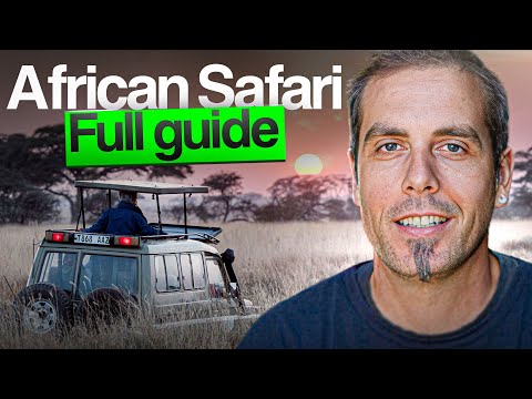 African Safari Guide for Beginners (2026): Everything You NEED to Know!