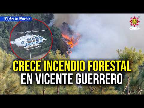 ¡Arde la Sierra Negra! Se expande incendio forestal en Vicente Guerrero
