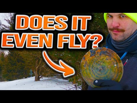 Can You Spot The Good Disc From The Bad One?