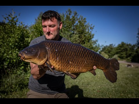 Carp Fishing: Understanding Underwater 4 Trailer