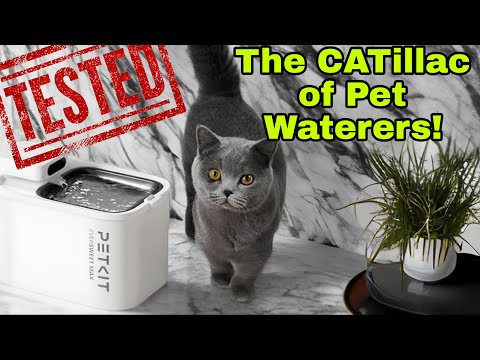 Petkit Eversweet Max Review: Wireless and Smart Cat Water Fountain