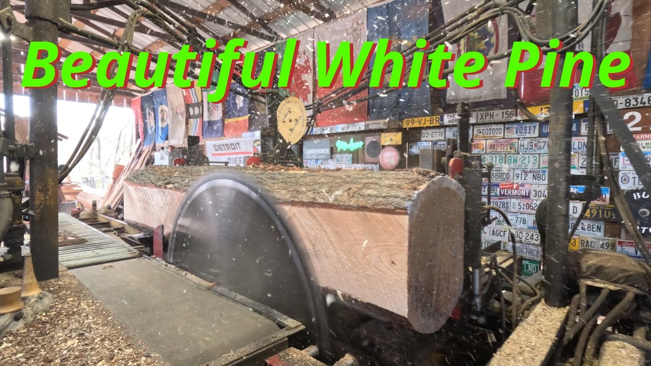 Sawing three beautiful White pine logs # 853